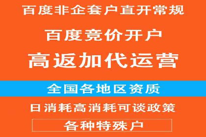 某某SEM服务公司成功案例：从数据出发的营销策略